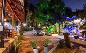 Comfort Beach Hotel